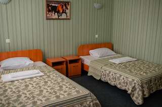 Отель Vershnyk Черкассы Улучшенный двухместный номер с 2 отдельными кроватями-4